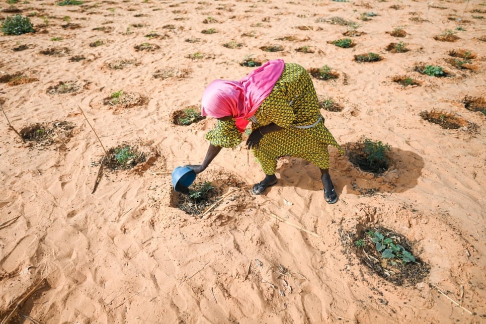 Terrorismo e suas repercussões no acesso à água no Sahel