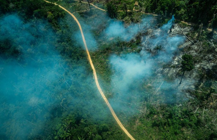 ENTREVISTA: Caio Pompeia – Como a articulação entre agronegócio e Congresso atua para garantir o retrocesso na legislação socioambiental do Brasil