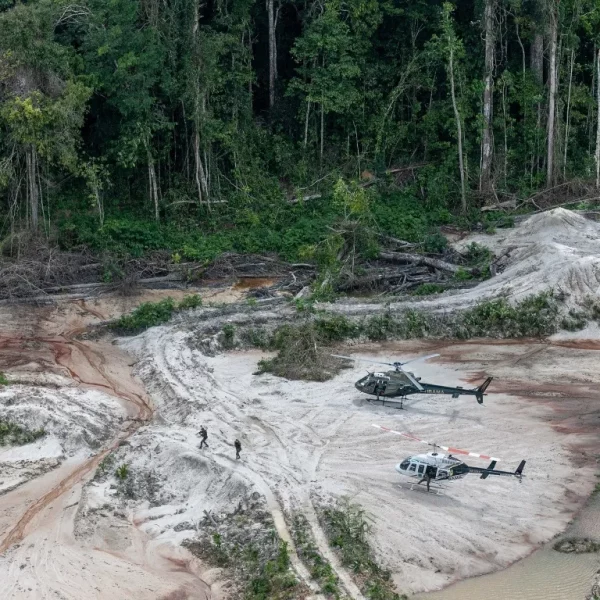 A vida ameaçada: da destruição ambiental ao Ecossocialismo