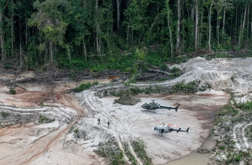 A vida ameaçada: da destruição ambiental ao Ecossocialismo