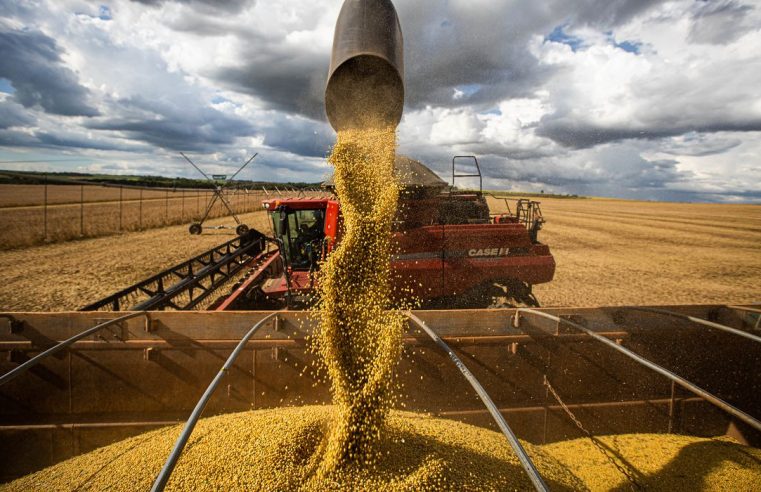 ONU lamenta fim do acordo de grãos Rússia-Ucrânia