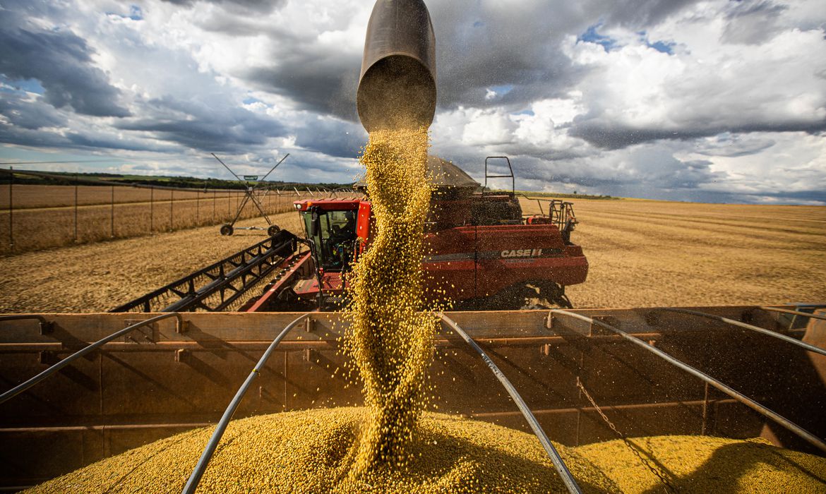 ONU lamenta fim do acordo de grãos Rússia-Ucrânia