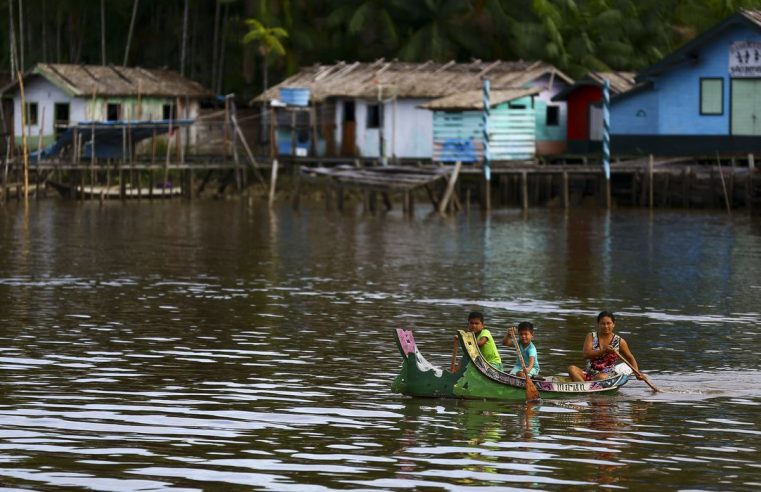 Países amazônicos criarão painel científico para proteção florestal