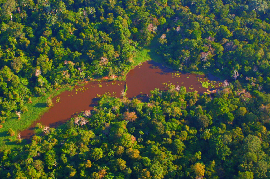 Com Lula, desmatamento anual da Amazônia tem queda de 22%