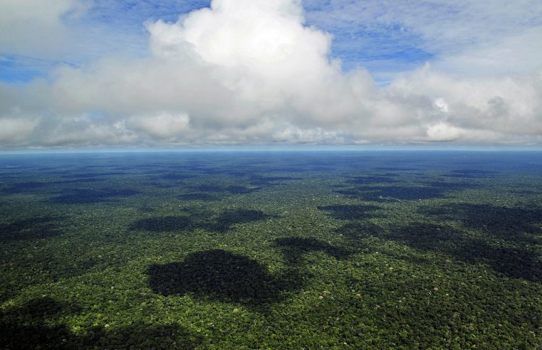 Progresso “espetacular” na proteção de florestas primárias no Brasil e na Colômbia