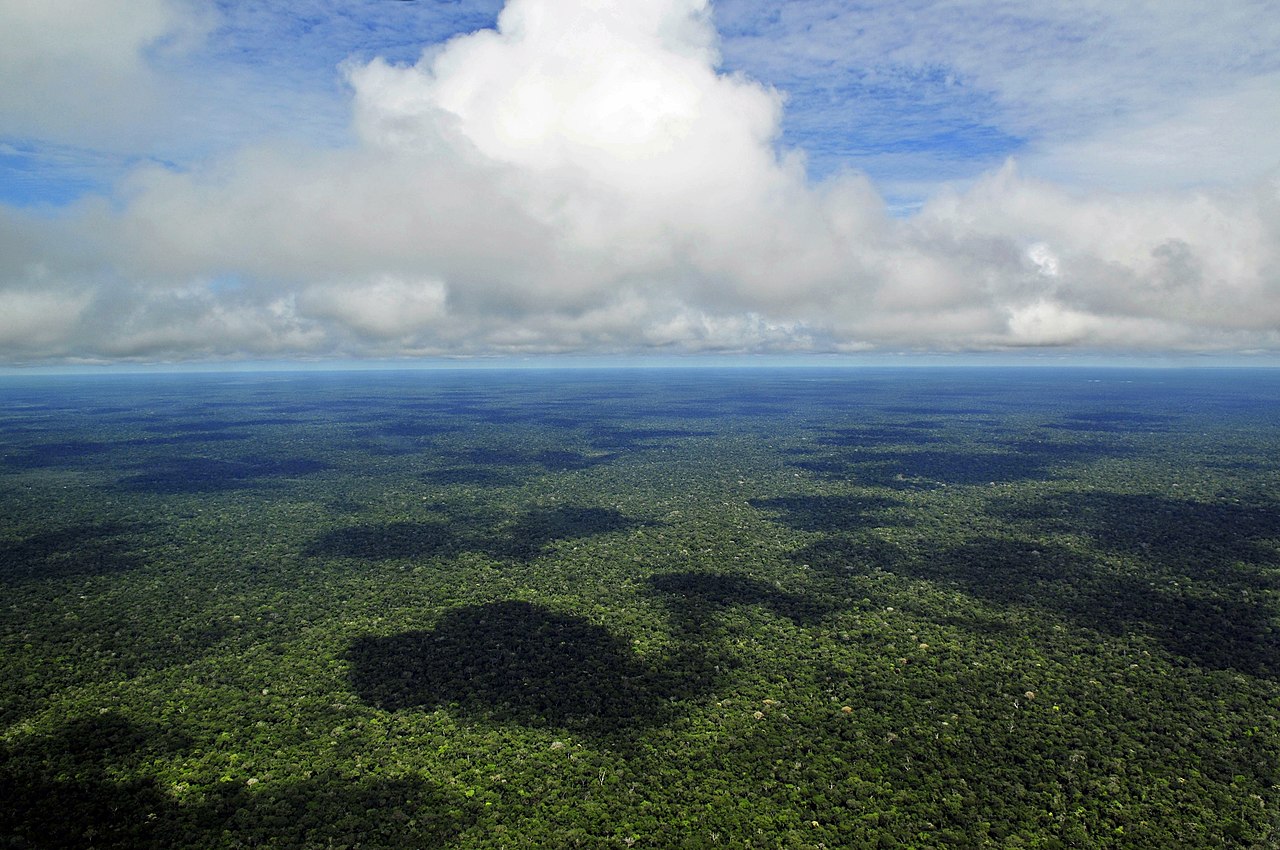 Progresso “espetacular” na proteção de florestas primárias no Brasil e na Colômbia