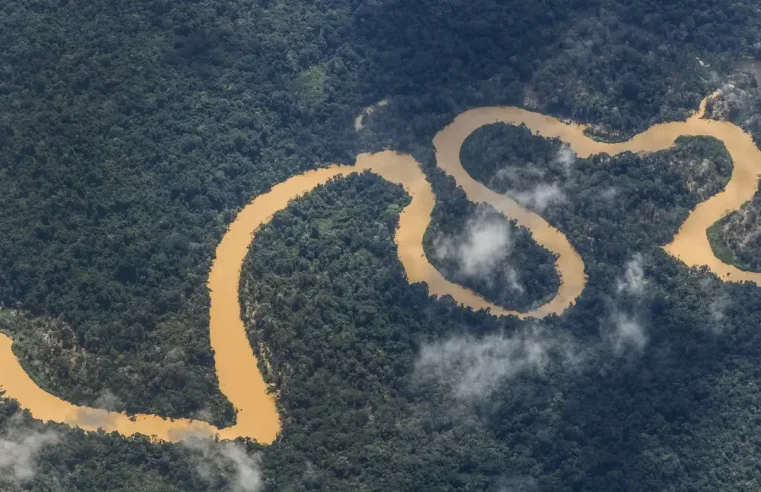 A exclusão das pequenas entidades no Fundo Amazônia: uma análise crítica e propositiva
