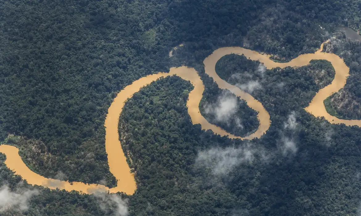A exclusão das pequenas entidades no Fundo Amazônia: uma análise crítica e propositiva