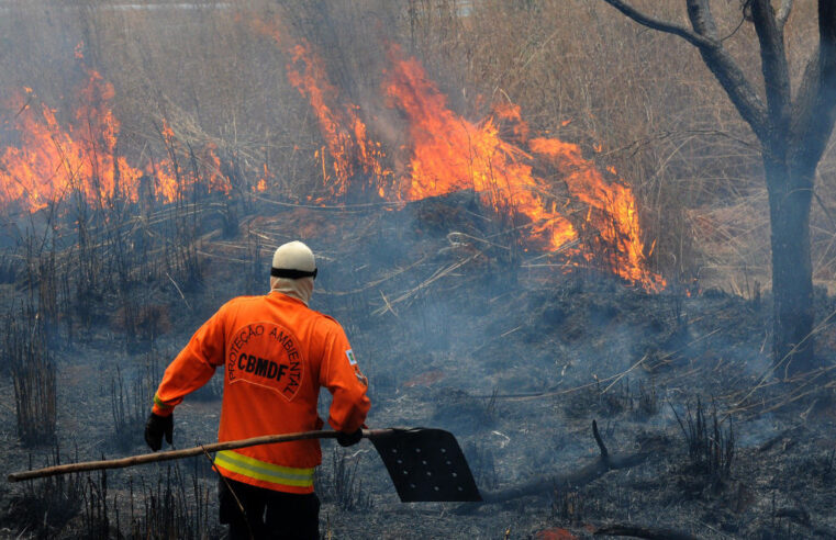 A economia da destruição