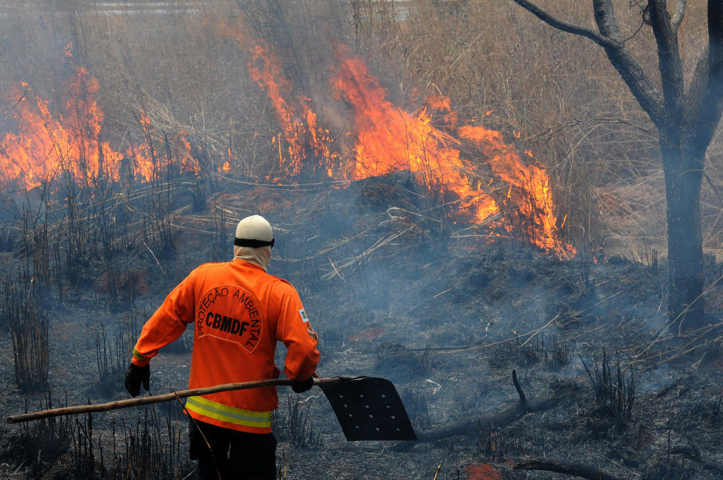 A economia da destruição