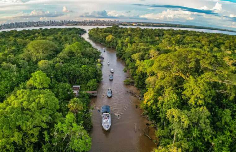 Desmatamento na Amazônia tem menor nível desde 2016; incêndios no Pantanal ficam 40% mais intensos