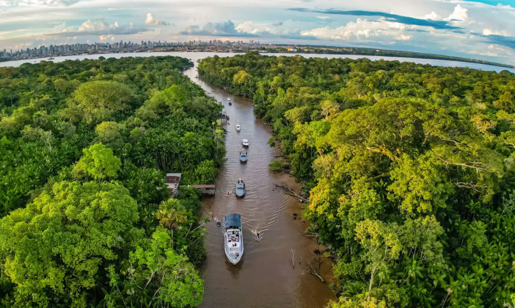 Desmatamento na Amazônia tem menor nível desde 2016; incêndios no Pantanal ficam 40% mais intensos