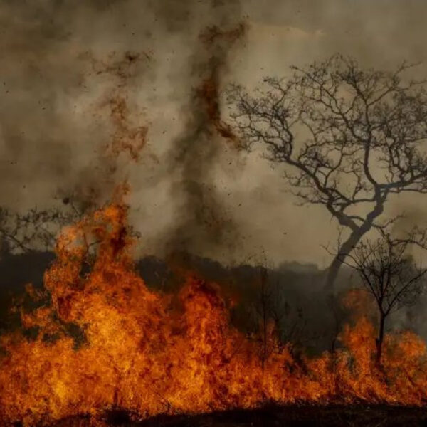 ‘Guerra’ contra incêndios criminosos em São Paulo