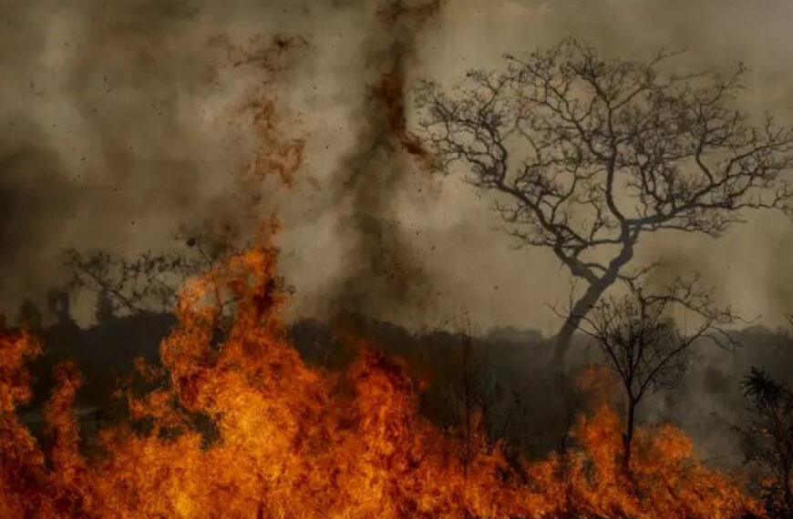 ‘Guerra’ contra incêndios criminosos em São Paulo