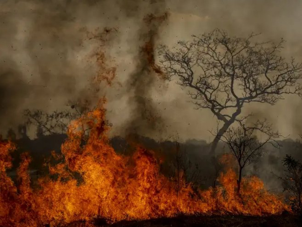 ‘Guerra’ contra incêndios criminosos em São Paulo