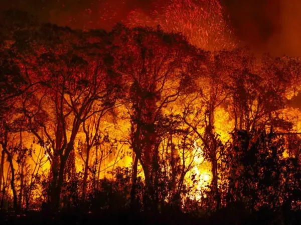 Meio Ambiente: O futuro ameaçado