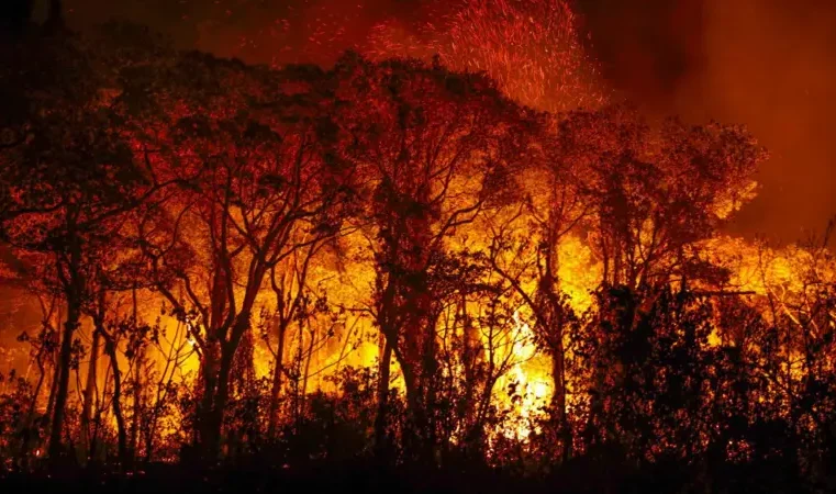 Meio Ambiente: O futuro ameaçado