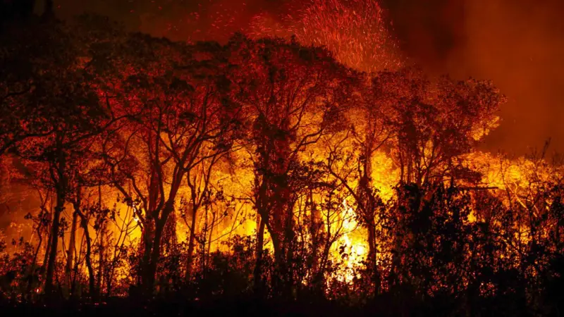 Meio Ambiente: O futuro ameaçado