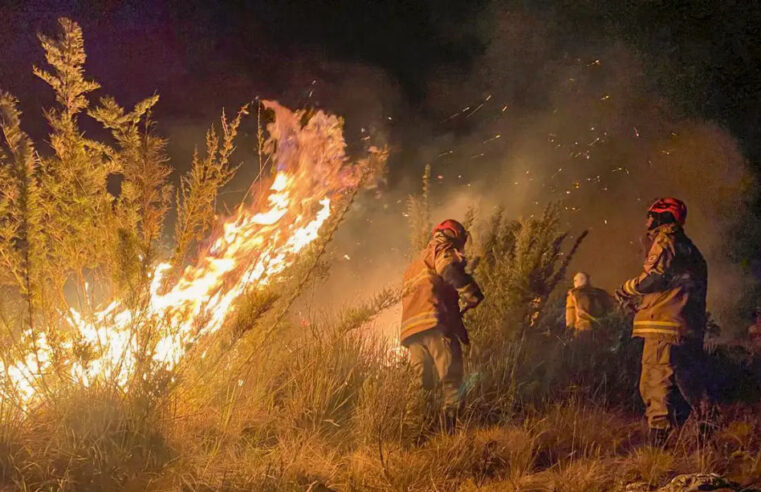 Crise ambiental na AL reflete um cenário de devastação e violência