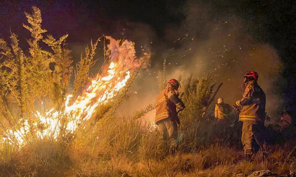 Crise ambiental na AL reflete um cenário de devastação e violência