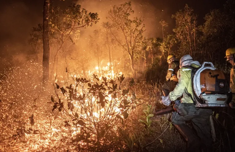 The Washington Post: “Mais da metade do Brasil é devastada pela seca. Culpe o desmatamento”