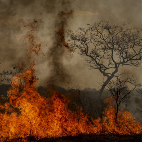 Explodiu a Questão Ambiental!