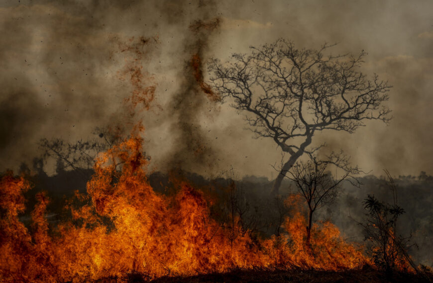 Explodiu a Questão Ambiental!