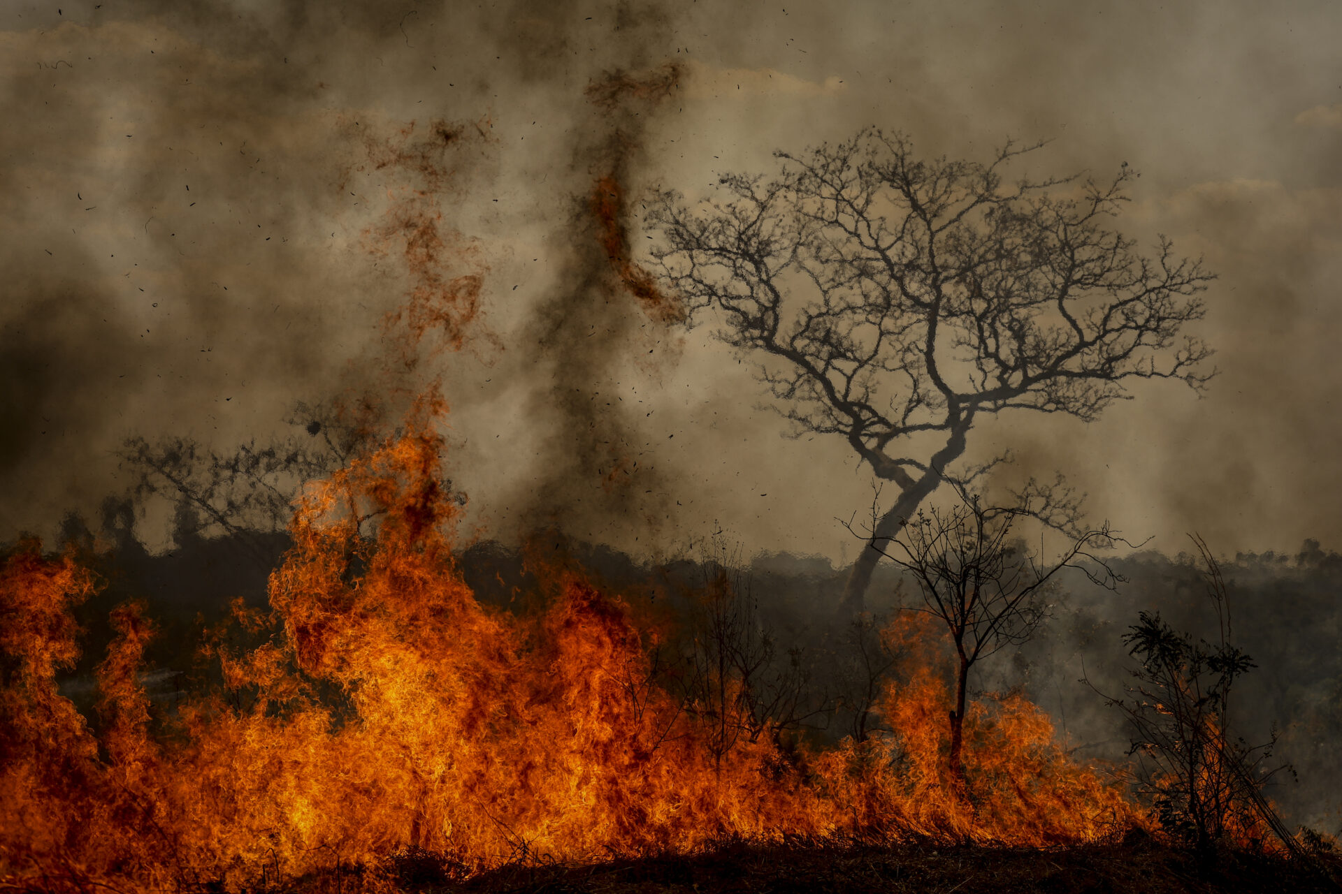 Explodiu a Questão Ambiental!