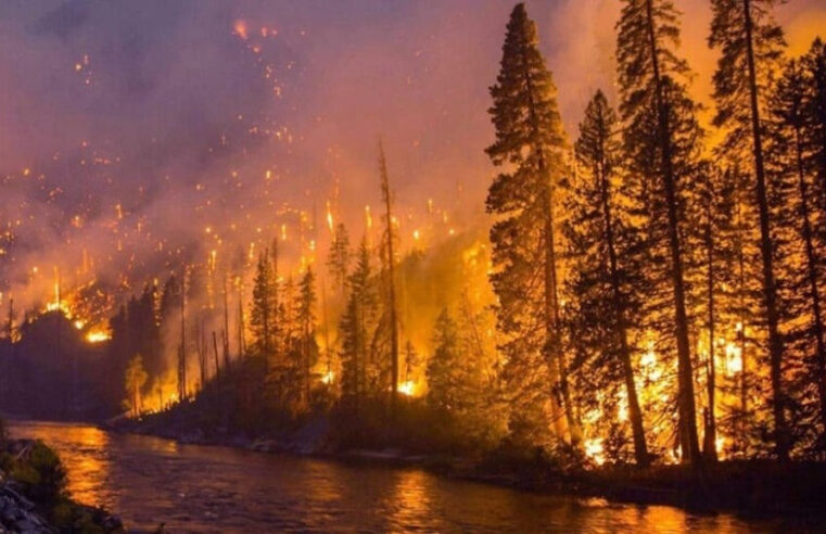 Gases de efeito estufa alcançam novos recordes