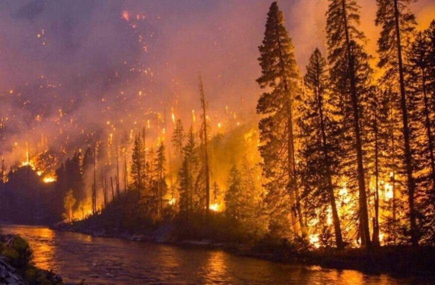 Gases de efeito estufa alcançam novos recordes