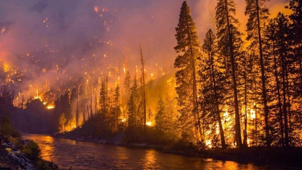 Gases de efeito estufa alcançam novos recordes