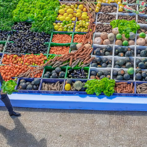 Erradicação da fome no Brasil exige redução do desperdício de alimentos